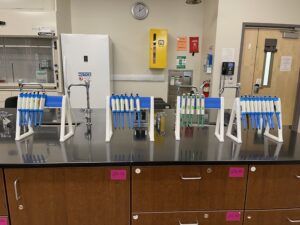 The pipettes that the students are going to use for the Protein Lab 