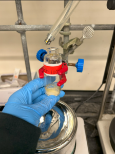 Zincke Salt purged under Nitrogen Gas