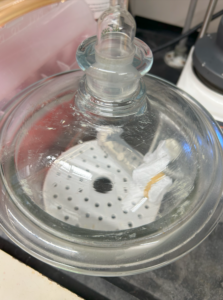 Purified Zincke salt in a centrifuge tube drying overnight