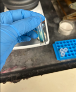Dried purified Cy-7 dye